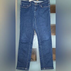 Anthropologie Pilcro and the Letterpress Straight Leg Blue Jeans - Size 31